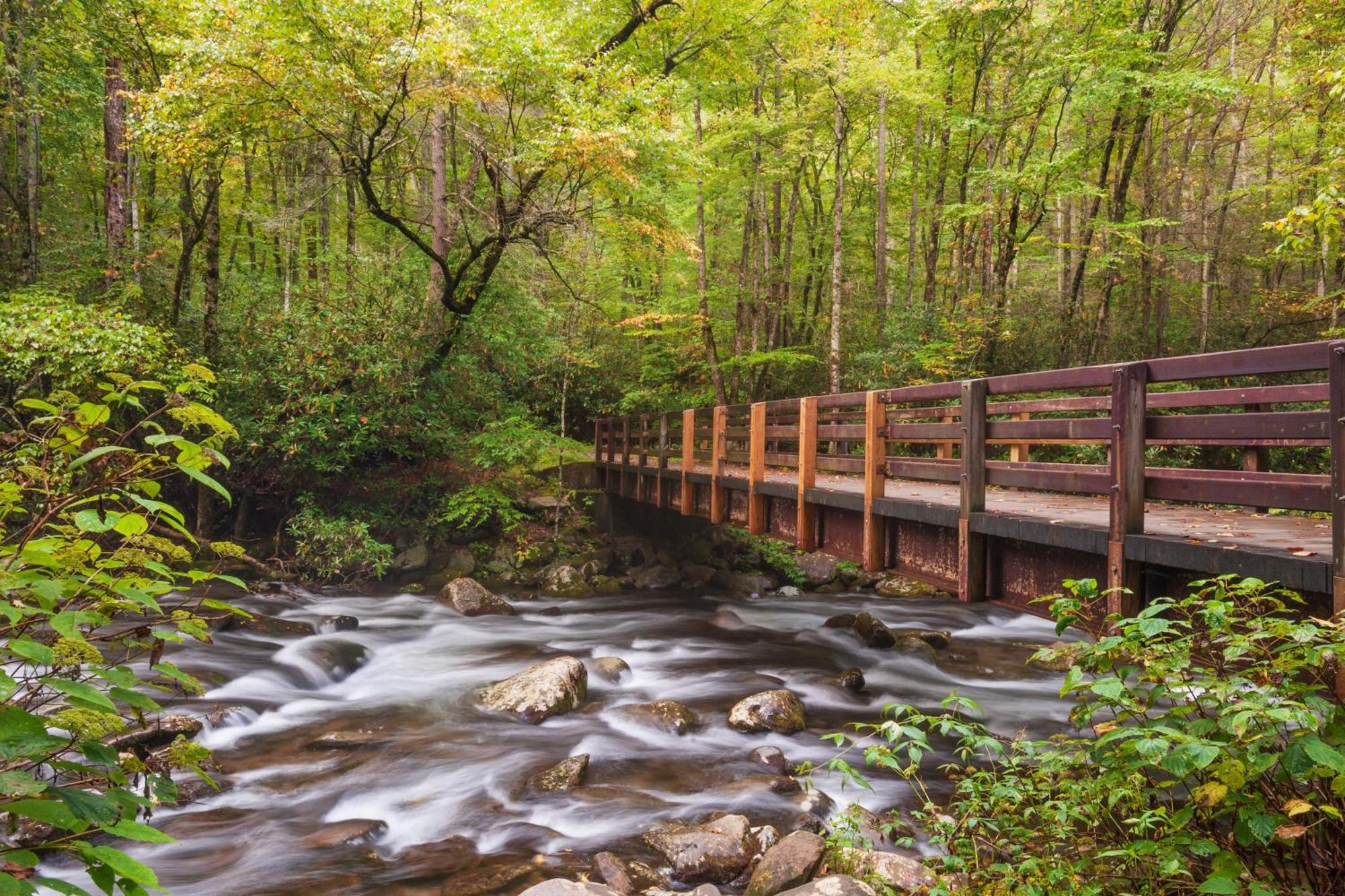 A Higher Calling, 1089 Of Free Area Attraction Tickets For Each Paid Day, Dollywood And More! Pigeon Forge Kültér fotó